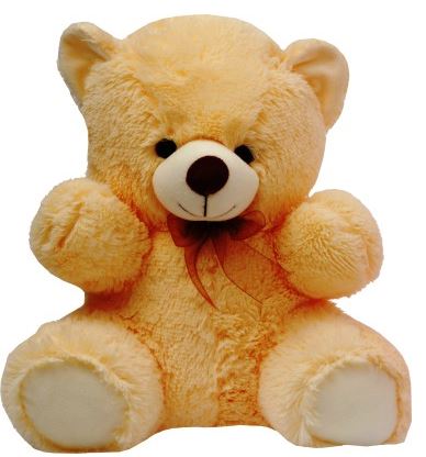 dimpy teddy bear