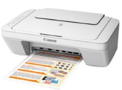 Canon MG2570 Colour Multifunction Inkjet Printer (WHITE)