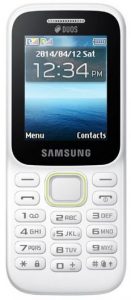 Samsung Guru Music 2 SM-B310E (White)