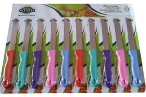 Divya Steel Knife Set(Pack of 10)