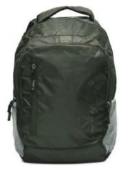 Skybags Green Laptop Backpack